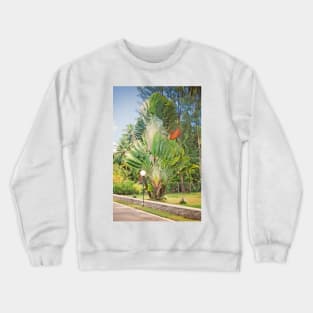 Seychelles splendour Crewneck Sweatshirt